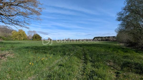 Terrain de 1 200 m²