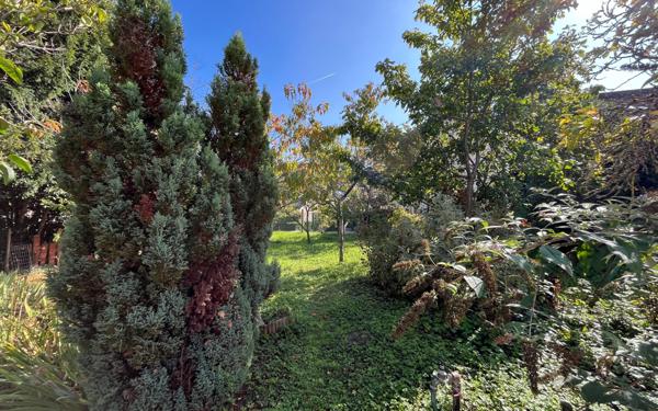 Maison à vendre    3 pièces •  Chécy