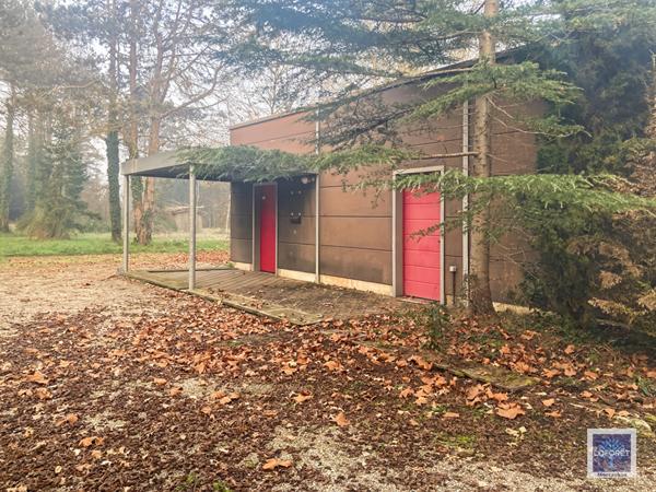 Location local commercial Bressols - 82 m² - 450 €/mois