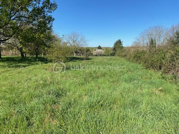 Situé sur la commune de fontenay sur loing

terrain à bâtir de 1936 m² 

Vous souhaiter faire construire ? Ce terrain est fais pour vous