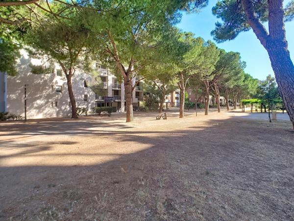 Appartement T1 de 32 m², terrasse proche Médiathèque