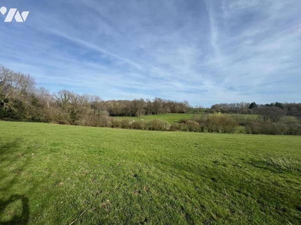 LE SAP EN AUGE PARCELLES HERBAGES 03 hectares 65