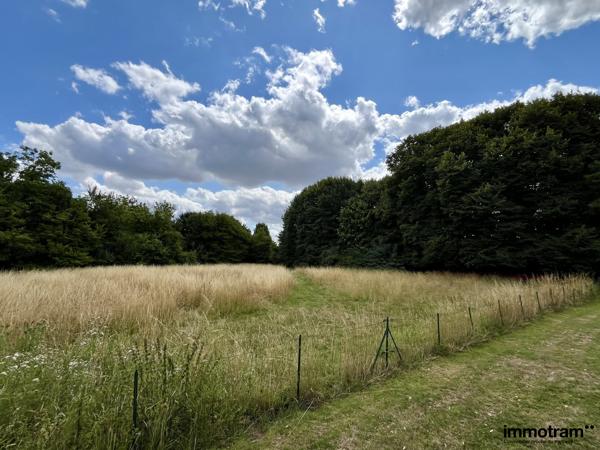 Vente Terrain 1329m 2 - Villeneuve d'Ascq, Planche Epinoy • Réf. VT235