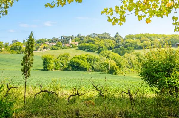 Maison à vendre à Vic-Fezensac (32190) - Gers