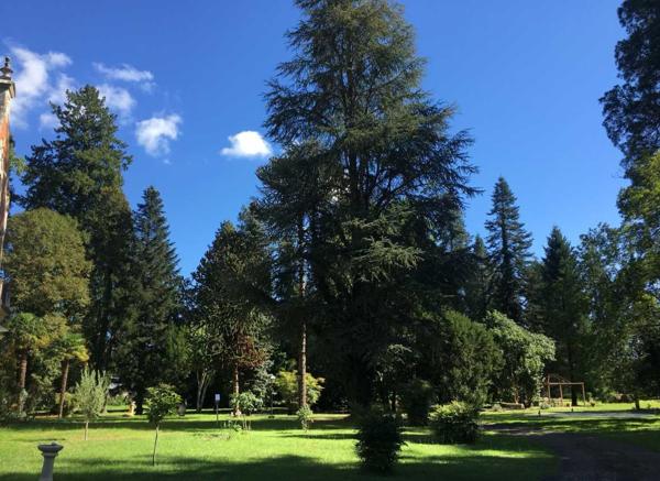 Château - Souillac Aux portes du Périgord Noir, aux abords de Souillac en direction de Sarlat, au centre d'un magnifique parc de 3 hectares, belle demeure rénovée offrant plus de 500 m² habitables, avec piscine et dépendance.