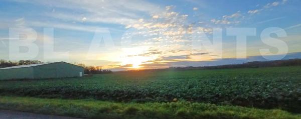 GERMIGNY L'EVEQUE : A VENDRE 5 parcelles BOISEES,   NON CONSTRUCTIBLES