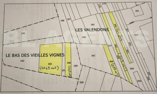 GERMIGNY L'EVEQUE : A VENDRE 5 parcelles BOISEES,   NON CONSTRUCTIBLES