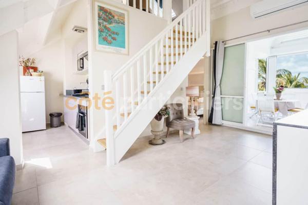 Location Appartement36 m² - 2 Pièces - SAINTE ANNE (97180)