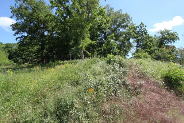 Terrain - 1146 m² Exclusivité efficity