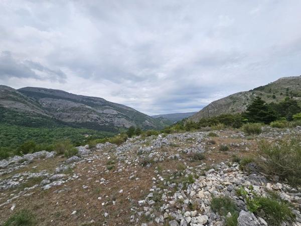 Vente / Terrain