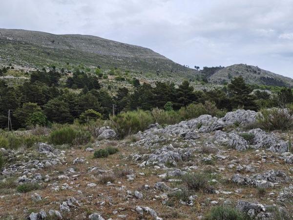 Vente / Terrain