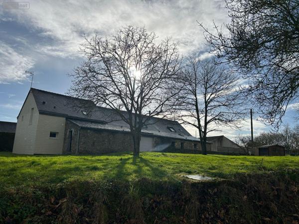 Corps de ferme à vendre à Chalonnes-sur-Loire dans le Maine-et-Loire (49290), ref : 12516/1266 La Barbottiere