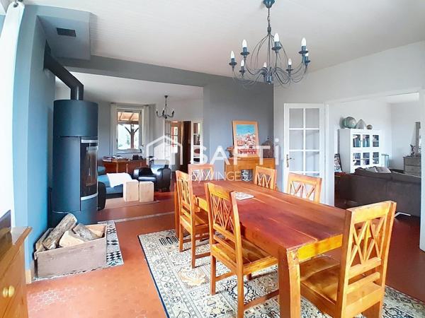 Jolie maison avec beaucoup de charme, grande piscine et parc ombragé.