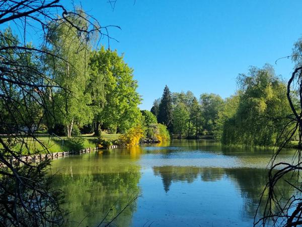 MAISON TRADITIONNELLE  et UN TRES BEL ETANG de plus de 4000m²