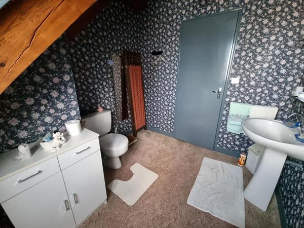 MAISON TRADITIONNELLE  et UN TRES BEL ETANG de plus de 4000m²