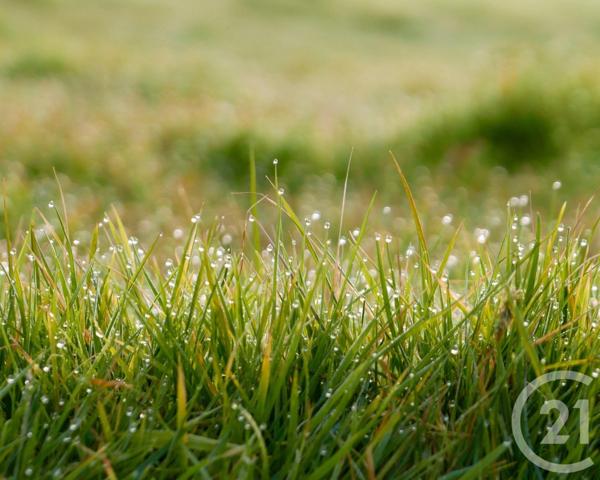 Terrain à vendre  389 m2 GENAS - 69