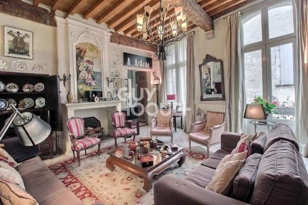 A Tarascon, Magnifique Maison de Maître avec terrasse.