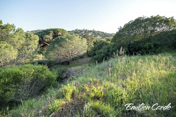 Terrain constructible à Sainte-Maxime