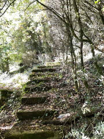 Maison inversée avec vue sur la Charente / Upside-down house with a view over the Charente