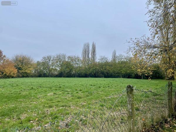 Maison individuelle à vendre à Bailleul dans le Nord (59270), ref : 12980/1551