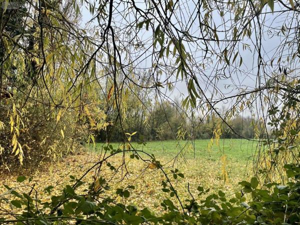 Maison individuelle à vendre à Bailleul dans le Nord (59270), ref : 12980/1551