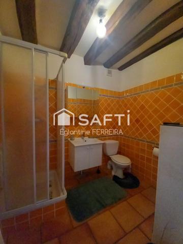 INDRE, à 2h45 de Paris, 25 min de CHÂTEAUROUX , 20 min de l'A20, Manoir restauré avec dépendances sur 2ha
