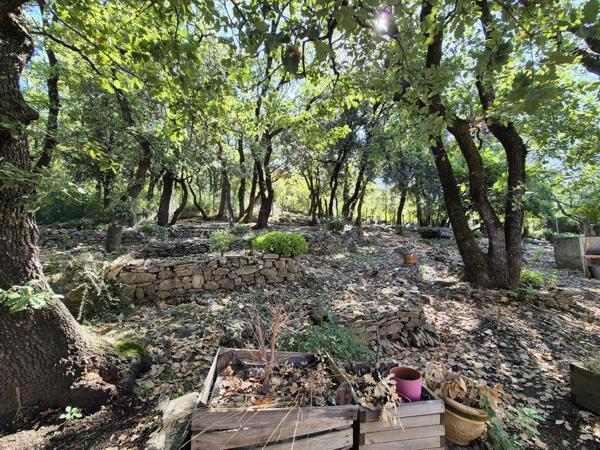 Maison 132 m2 terrain 1985 m2 piscine Saint-Martin-de-Valgalgues (30520)