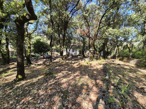 Maison 132 m2 terrain 1985 m2 piscine Saint-Martin-de-Valgalgues (30520)