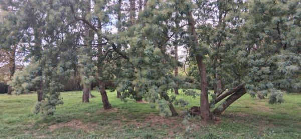 Maison en campagne - Saint Etienne de Montluc