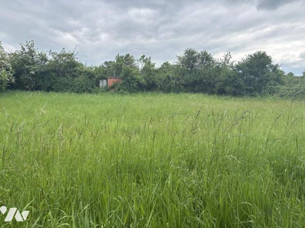 Maison avecdépendances à rénover et ses  5hectares