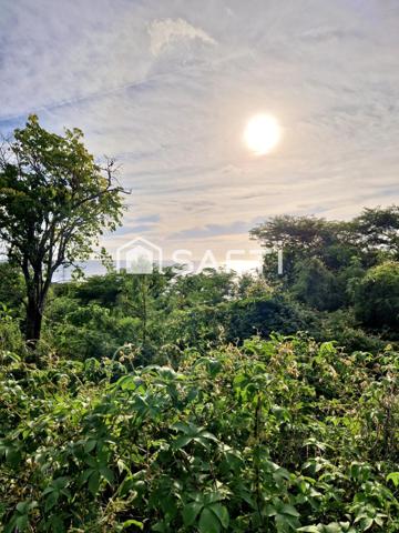Terrain sur les hauteurs de Bouillante.