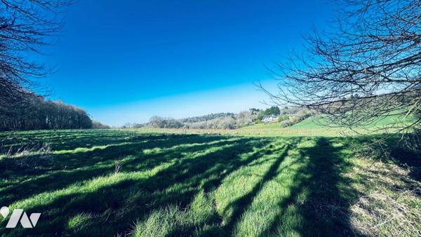  bois et près à GUILLOGOMARCH 