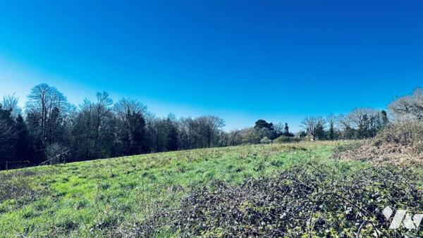  bois et près à GUILLOGOMARCH 