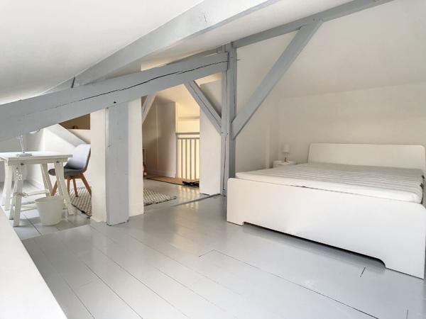 ORLEANS - HYPER CENTRE RUE D ILLIERS / MARTROI - 2 PIECES RENOVE et MEUBLE  - PETITE COPRO - DERNIER ETAGE