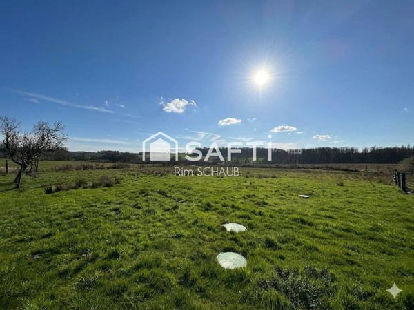 Opportunité Rare à Eteimbes (68210) – Grand Terrain de 1 958 m²