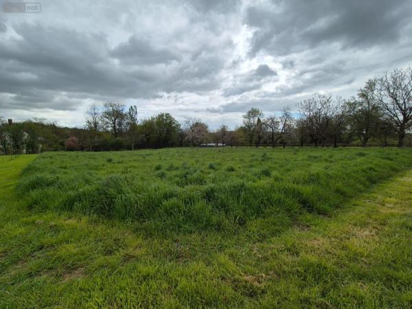 Terrain à Batir à vendre à Treigny-Perreuse-Sainte-Colombe dans l'Yonne (89520), ref : Ref 053
