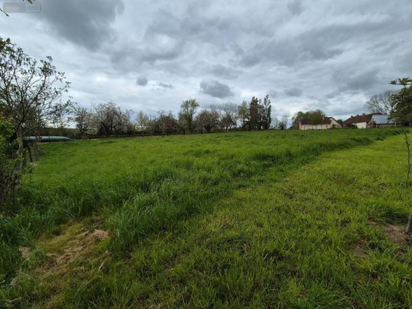 Terrain à Batir à vendre à Treigny-Perreuse-Sainte-Colombe dans l'Yonne (89520), ref : Ref 053