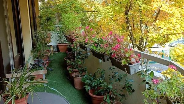 Belle appartement Lumineux - Traversant - Balcon