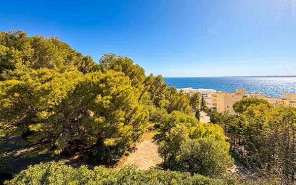 Appartement à vendre    2 pièces • 31,33 m2 Sète