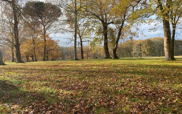 Maison à vendre    10 pièces • 408 m2 Saint-Martin-de-Seignanx