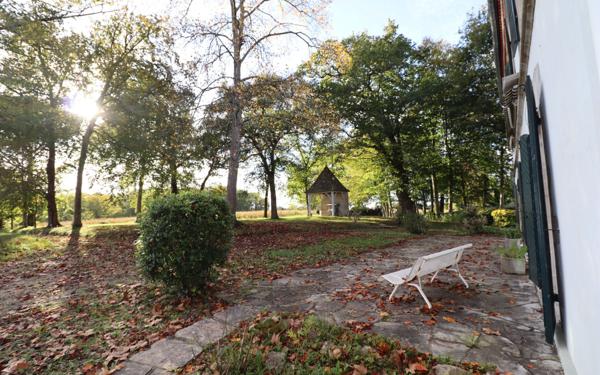 Maison à vendre    10 pièces • 408 m2 Saint-Martin-de-Seignanx