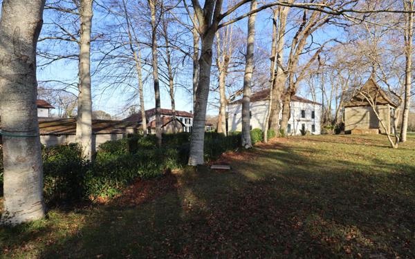 Maison à vendre    10 pièces • 408 m2 Saint-Martin-de-Seignanx