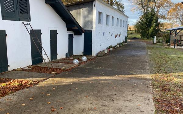 Maison à vendre    10 pièces • 408 m2 Saint-Martin-de-Seignanx