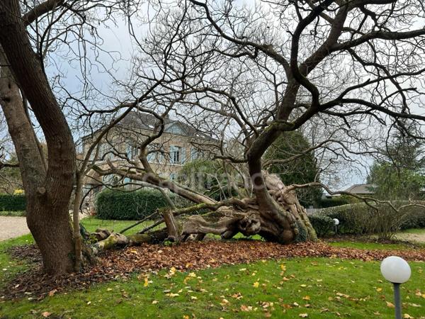 Appartement bourgeois 4 pièces SAINT PIERRE LES ELBEUF (76)
