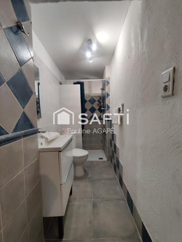 GRAND T2, CLIMATISÉ, GRANDE TERRASSE, SANS VIS-À-VIS