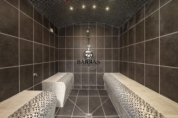 Nancy (54000) NANCY PMR - 302 m² - Piscine Privée, Jacuzzi, Salle de Cinéma, Hammam, Sauna. Quartier Buthegnemont