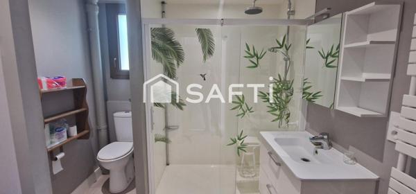 Magnifique maison centre Plessala