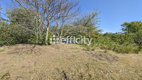 Terrain - 550 m²