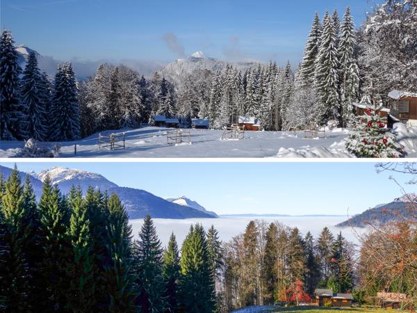 Chalet à vendre à Arâches-la-Frasse (74300) - Haute-Savoie