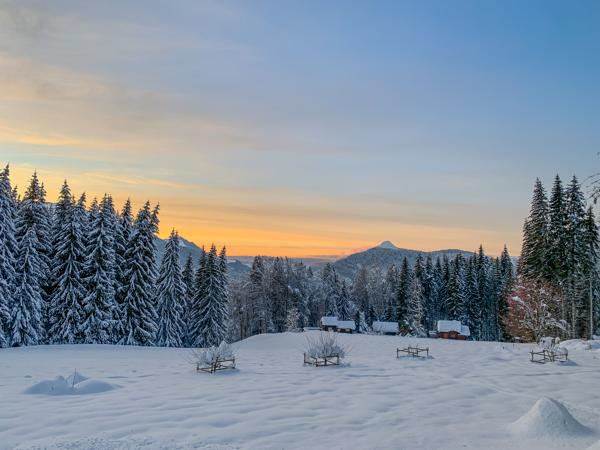 Chalet à vendre à Arâches-la-Frasse (74300) - Haute-Savoie